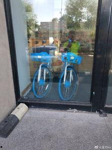 长春自行车爆料最新消息,揭秘城市绿色出行新动态  第3张